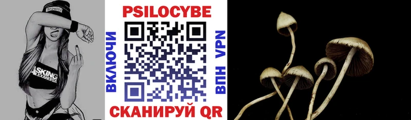 дарнет шоп  Тогучин  Псилоцибиновые грибы ЛСД 
